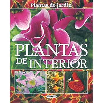 Plantas De Interior(Plantas De Jardin) (Plantas De Jardín) Plantas De Interior(Plantas De Jardin) (Plantas De Jardín)