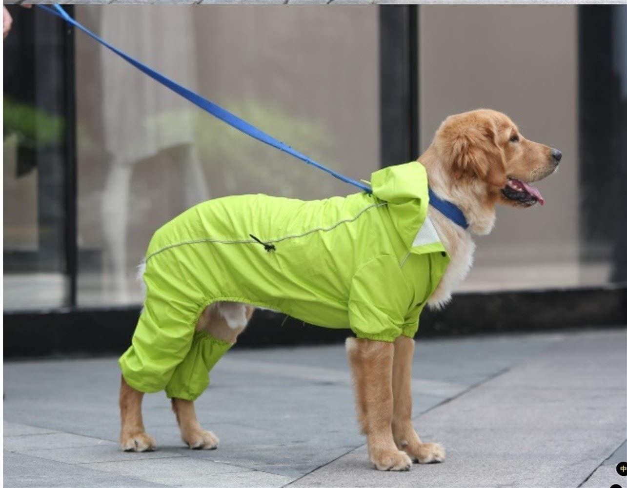 Manteau De Pluie Pour Chien Maxi Zoo