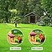 BFULL Binoculars 12x50 Binoculars for Adult Teenagers Compact Binoculars Wide Angle Weak Light Night Vision Waterproof Binoculars with Bag and Strap for Bird Watching, Hunting, Safari, Sports