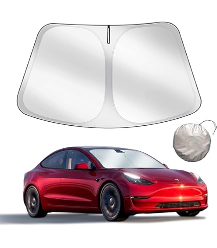 Tesla Model Y Standard Full Review: Is it worth the lower price