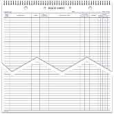 Route Sheets RS-547-SB Spiral Bound Notebook - 12" x 15", 50 Sheets, 100# White Tag Stock, Blue Ink, Large Route Planner Pad, Office Desk Notepad for Scheduling, Daily Route Tracking