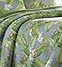 Tommy Bahama Quilt Set Reversible Cotton Bedding with Matching Shams, Coastal Home Decor for All Seasons, Queen, Green/Sky Blue, 3 Count