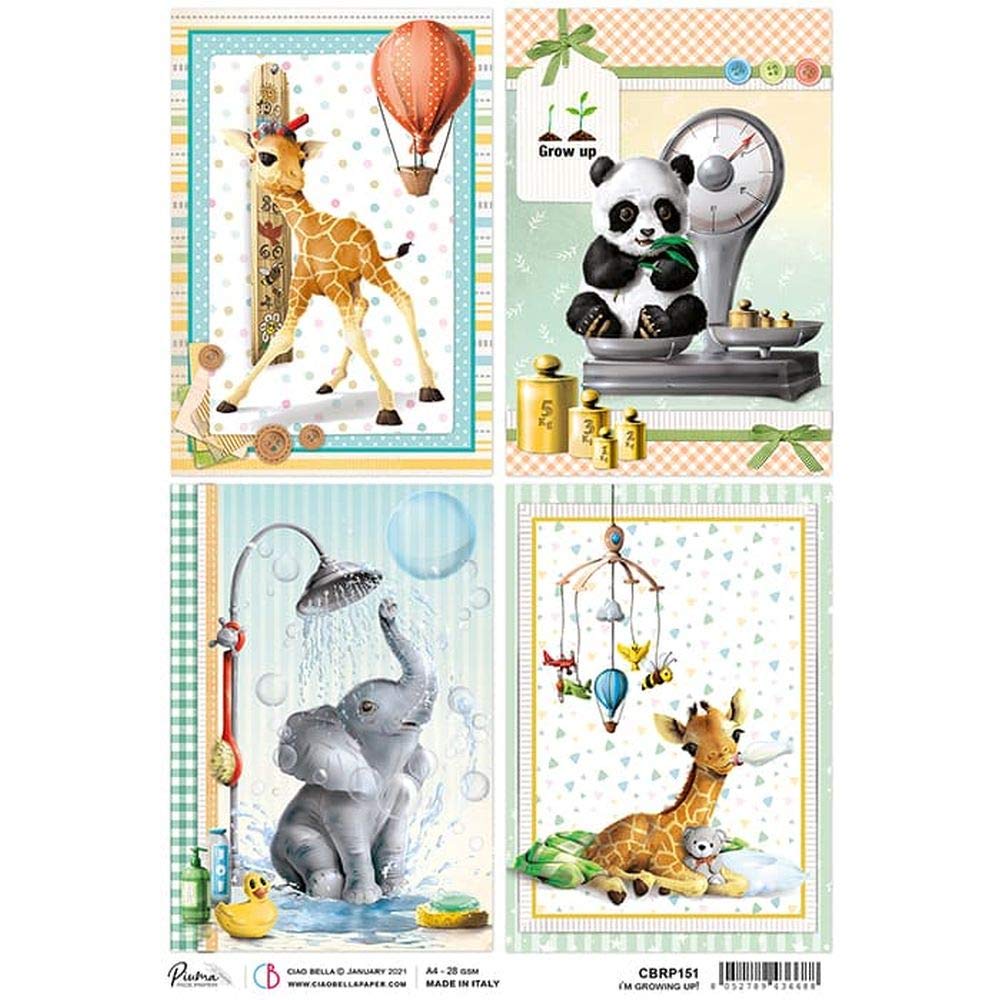 CIAO BELLA My First Year Rice Paper-Growing Up, Assorted, OSFA