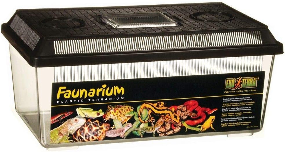 faunarium plastic terrarium