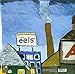 Electro-Shock Blues [2 LP]