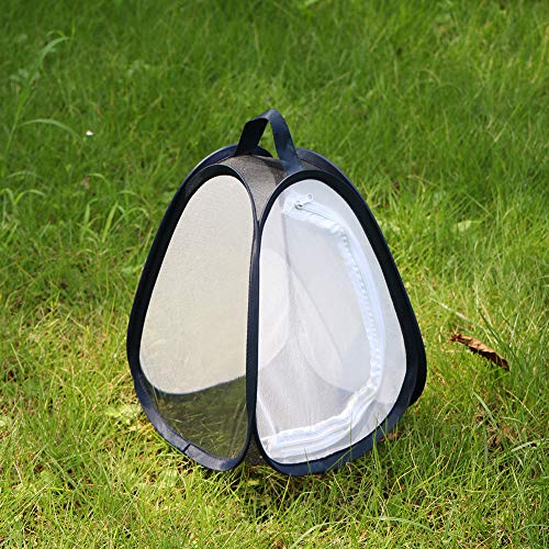 1 RESTCLOUD+Butterfly+Habitat+Insect+Terrarium