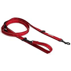 EzyDog Vario 6 Multi-Function Dog Leash with Snap
