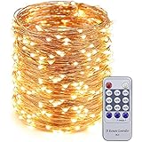 ER CHEN 165ft Led String Lights,500 Led Starry Lights on 50M Copper Wire String Lights + 12V DC Power Adapter + Remote Control(Warm White)