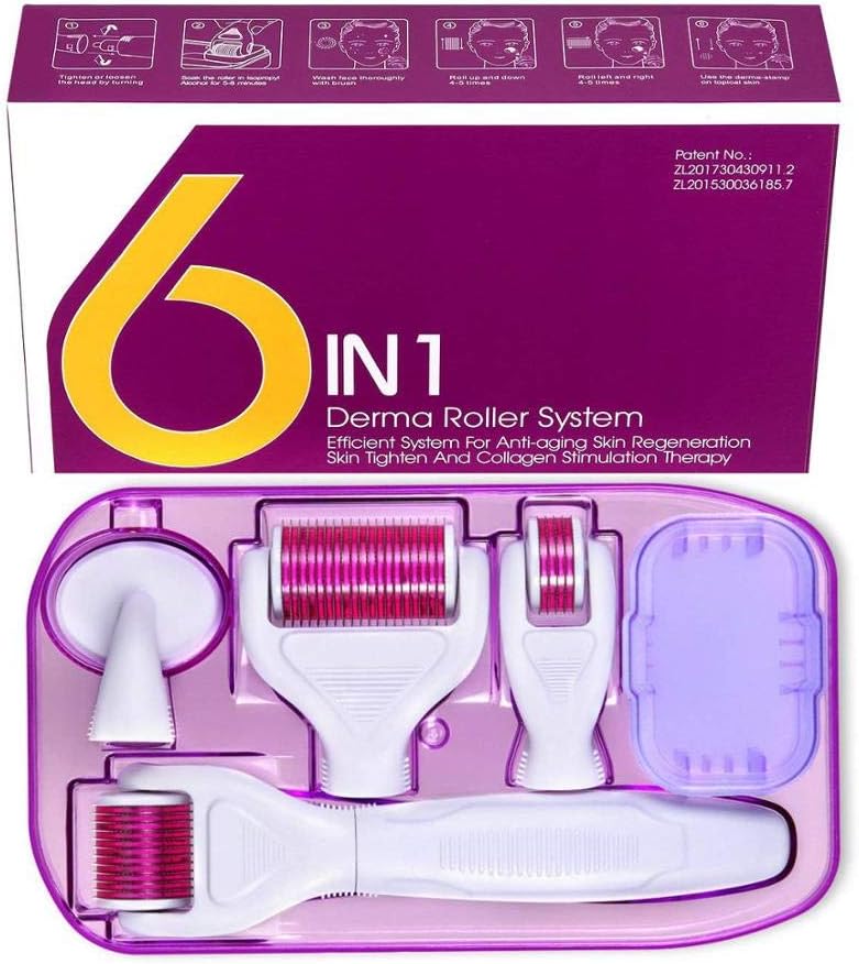 DRS 6 in 1 Derma Roller Microneedle Kits for Multiple Skin Care Treatment CE Certificate Proved Cosmetic Body Treatment