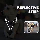 haapaw Dog Harness and Lead Set No Pull Reflective Adjustable Step-in Small view 5