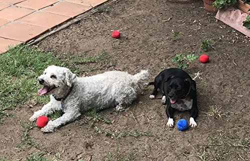 12 Pack Plush Squeaky Balls for Dogs or Cats - Red, Blue, Yellow
