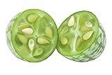Cucamelon 20 Seeds - Mouse Melon, Melothria Scabra