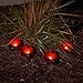 Smart Solar 3656MRM4 Ladybug Solar Red Light Set, 4-Pack, Powered by a Separate Solar Panel Allowing Lights to be Placed in Shady Areas
