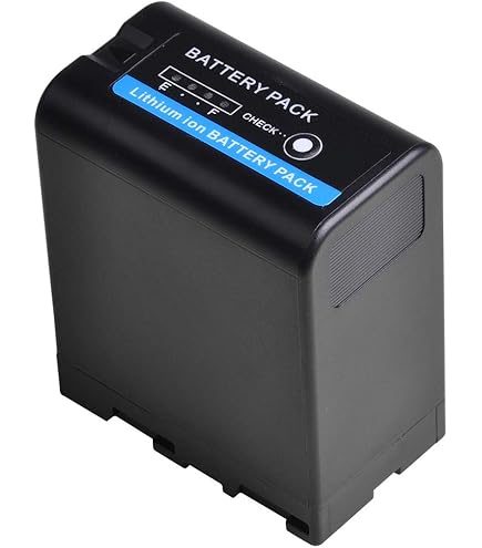 SONY - ■並品■ SONY  BP-U60  216004 Sony BP-U60 Camera Lithium-Ion Battery for sale online | eBay