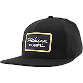 Michigan Wolverines NCAA Officially Licensed Fitted Hat M15Z Brick Black, Medium