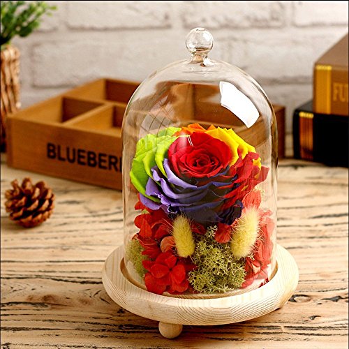 Reelva Decorative Clear Glass Cloche Bell Jar Display Case (Small) - Thumbnail 5