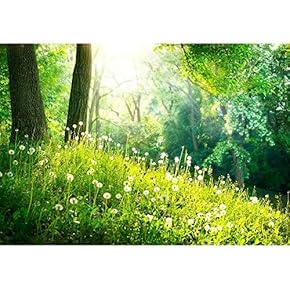 Spring Nature Beautiful Landscape Green Grass and Trees