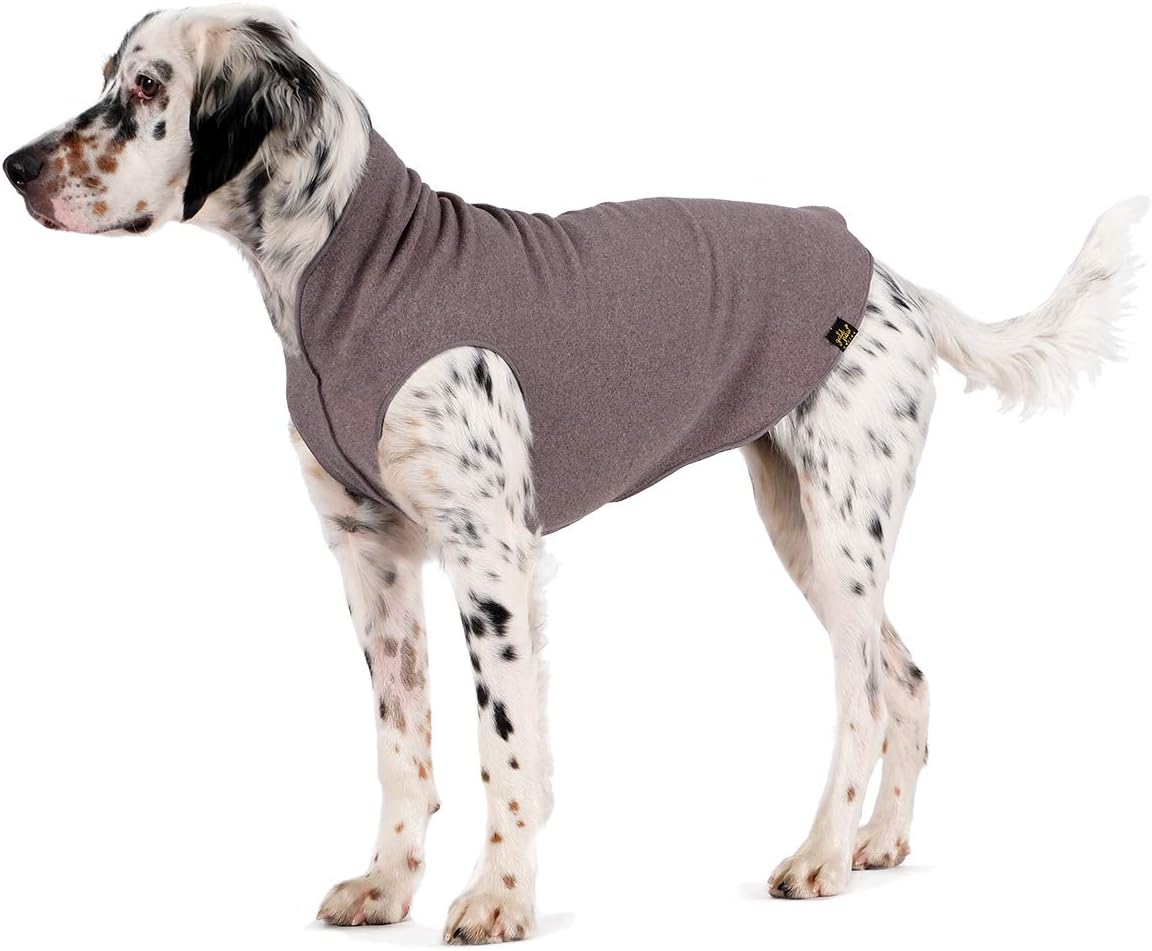Gold paw stretch fleece Clearance