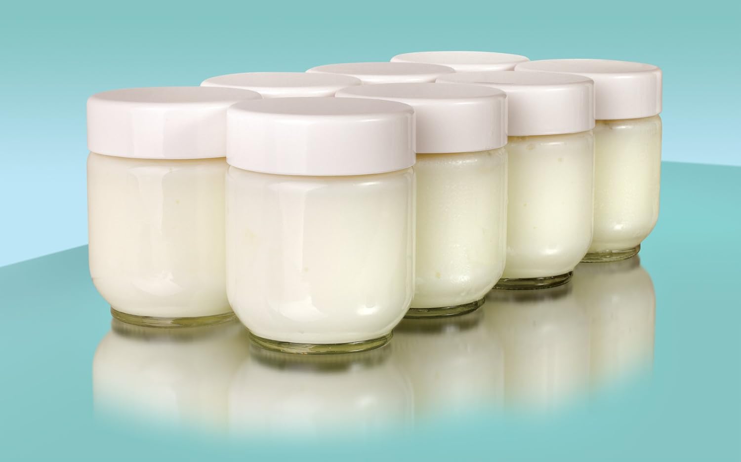 Euro Cuisine Glass Jars for Yogurt Maker, Set of 8: Kitchen & Dining