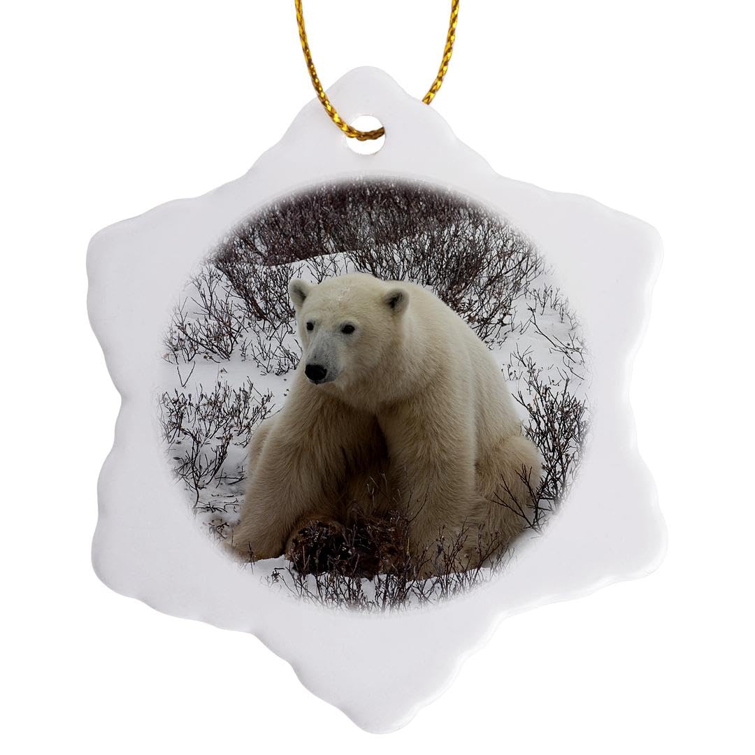 3dRose Polar Bear, Ursus Maritimus, Hudson Bay Churchill Canada Snowflake Ornament, Porcelain, Multi-Colour, 3-Inch