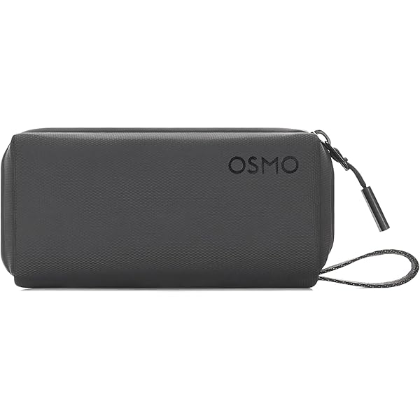 Amazon.com : DJI Part 2 Carrying Case for Osmo Mobile 3 Gimbal
