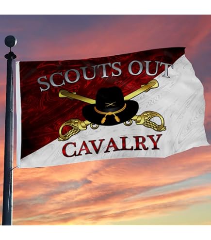 Fyon Cavalry 'You Ain't Shit' Flagge - 90x152 Cm, Militärbanner Mit 2 Messingösen Für Drinnen & Draußen