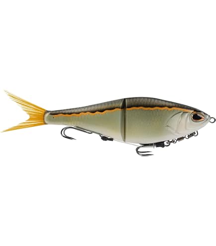 Amazon.com: Shimano Bait Reel 23 SLX DC Series Fishing Reel Japan