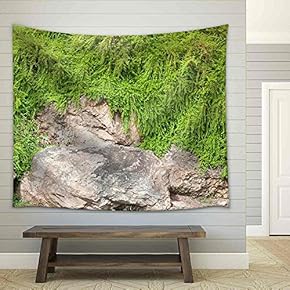 Green Vines Natural Stones Stone Wall Plants. - Fabric Wall Tapestry Home Decor - 51x60 inches