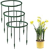 12 Pack Plant Support Plant Stakes Plastic Cage Holder Small Plant Support Ring for Indoor and Outdoor Small Plants, 9.4" W x 5.5" H