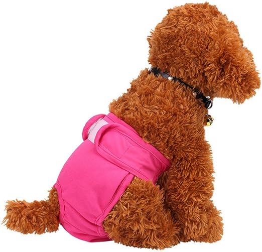 dog sanitary pants