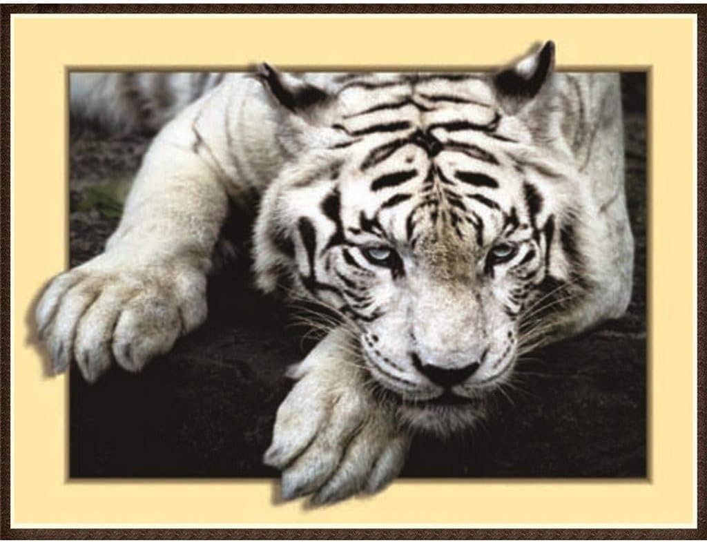 Woaills 5D Diamond Embroidery Painting Cross Stitch,Cat and Tiger DIY Home Decor Craft Square 11.81 Inches