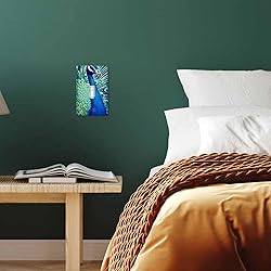 Moslion Peacock Single Toggle Covers Blue Green