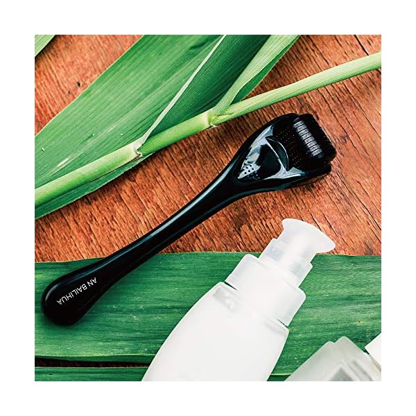 Beard-Growth-Roller-540-05MM-Titanium-Needles-Derma-Roller-for-Men-Matte-Black-Beard-Roller-Stimulate-Beard-and-Hair-Growth-Microneedle-Roller Beard Growth Roller/Derma Roller for Men/Microneedle Roller /540 0.5MM Titanium Needles (0.5mm)