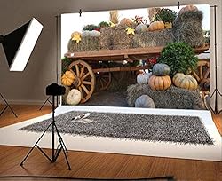 Yeele 7x5ft Autumn Harvest Festival Backdrop Hay
