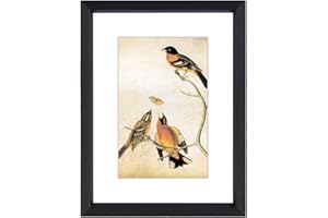 BKABOT 3x4 Picture Frame, Black Metal Photo Frames with HD Glass, Fits 2x3 with Mat or 3 x 4 without Mat, Display for Wall and Table, 1 Pack