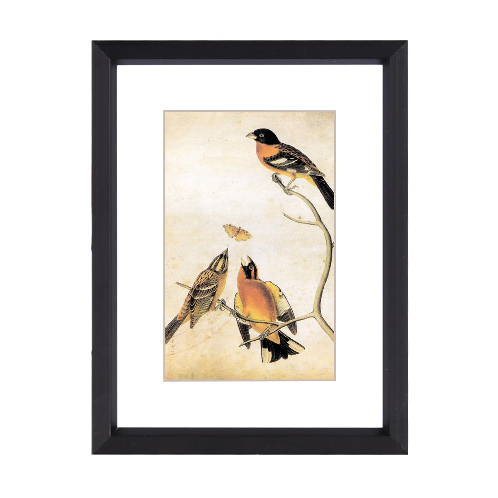 Photo 1 of 3x4 Picture Frame, Black Metal Photo Frames with HD Glass, Fits 2x3 with Mat or 3 x 4 without Mat, Display for Wall and Table, 1 Pack