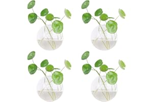 Dubee 4 Pcs Glass Wall Hanging Planter Terrariums,Hanging Wall Vases for Plants Indoor,Glass Plant Containers for Air Plant,Succulents and Candle Display.