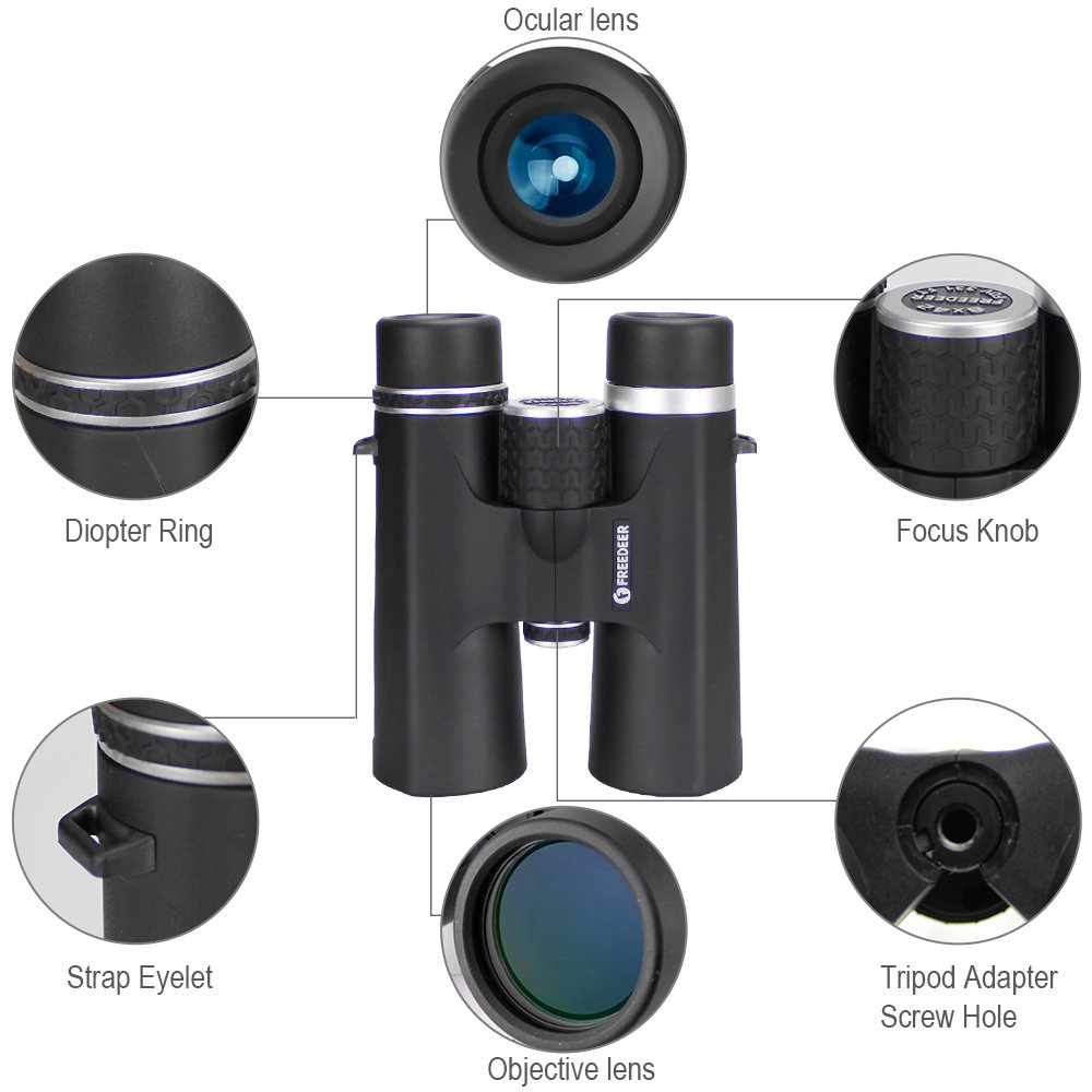 Fernglas für Erwachsene,FREEDEER,10 x 42， wasserdicht / beschlagfrei, BAK4 Prisma & FMC-Objektiv,mit Telefon-Adapter & Stativ-Adapter Fernglas für im Freien,Vogelbeobachtung, Reisen, Stargazing, Jagd, Konzerte, Sport (schwarz)