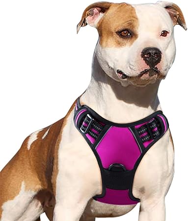 happy at heel harness amazon