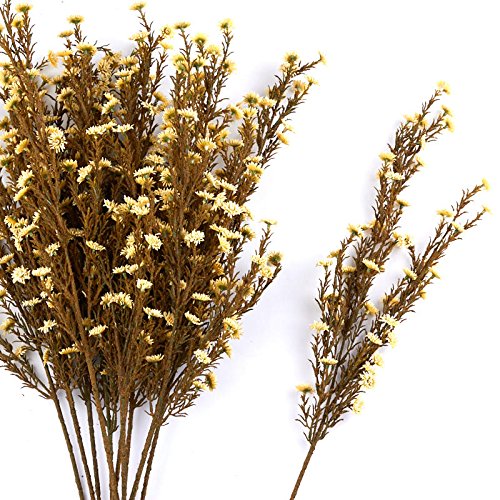 Soft Touch Cream Daisy and Dried Grass Floral Sprays | 12 Sprays | for Indoor Decor