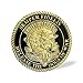 AtSKnSK Marine Corps Devil Dog Military Challenge Coin