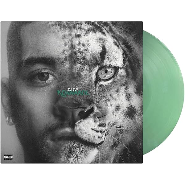 Amazon.com: Zayn - Room Under The Stairs Exclusive Limited Yellow