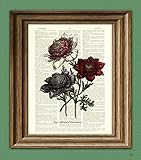ANEMONE Flower botanical illustration beautifully upcycled dictionary page book art print