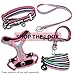 Blueberry Pet 9 Colors Soft & Comfy 3M Reflective Multi-Colored Stripe Mesh Padded No Pull Dog Harness Vest with Back Leash Clips, Medium, Pink, Emerald & Orchid