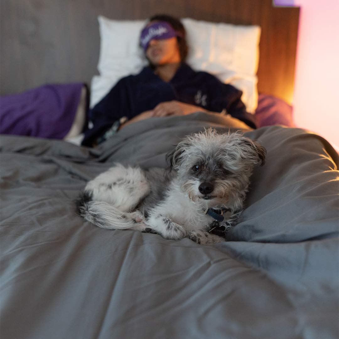 Sheets & Giggles Eucalyptus, Down Alternative Comforter. Just Like Our Eucalyptus Lyocell Sheet Sets, Our Soft, Fluffy Eucalyptus Comforter is Sustainable, Cooling, and Hypoallergenic – Queen, Grey