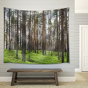 Spring Forest - Fabric Wall Tapestry Home Decor - 51x60 inches