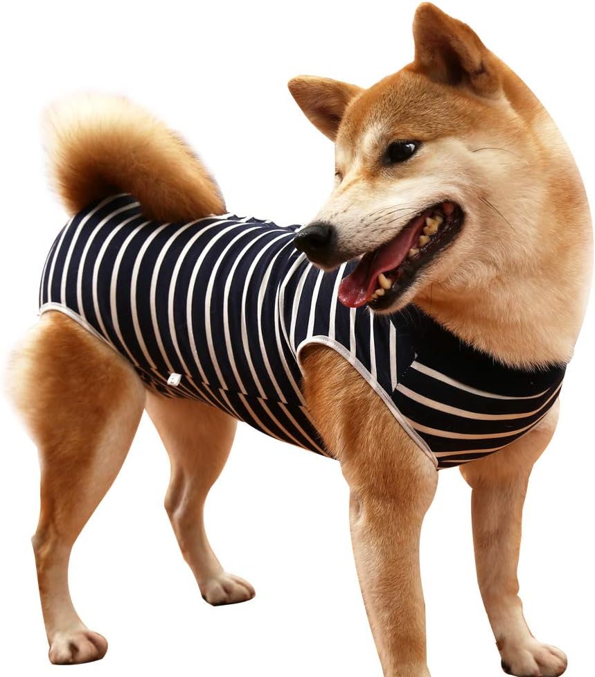 LIANZIMAU Dog Recovery Suit Neuter Onesie Breathable Surgical Abdominal Wounds And Skin Protector Anti Licking Cone E Collar Alternative After Surgery Wear L Blue