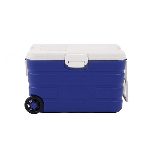 Oypla Rolling Ice Cool Box - Nevera portátil (40 L): Amazon.es ...