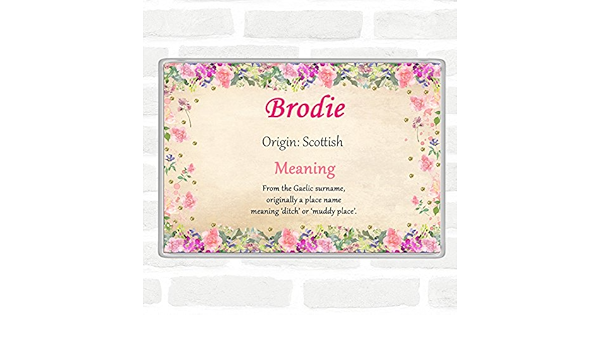 Brodie Nombre Significado Jumbo imán para nevera floral ...