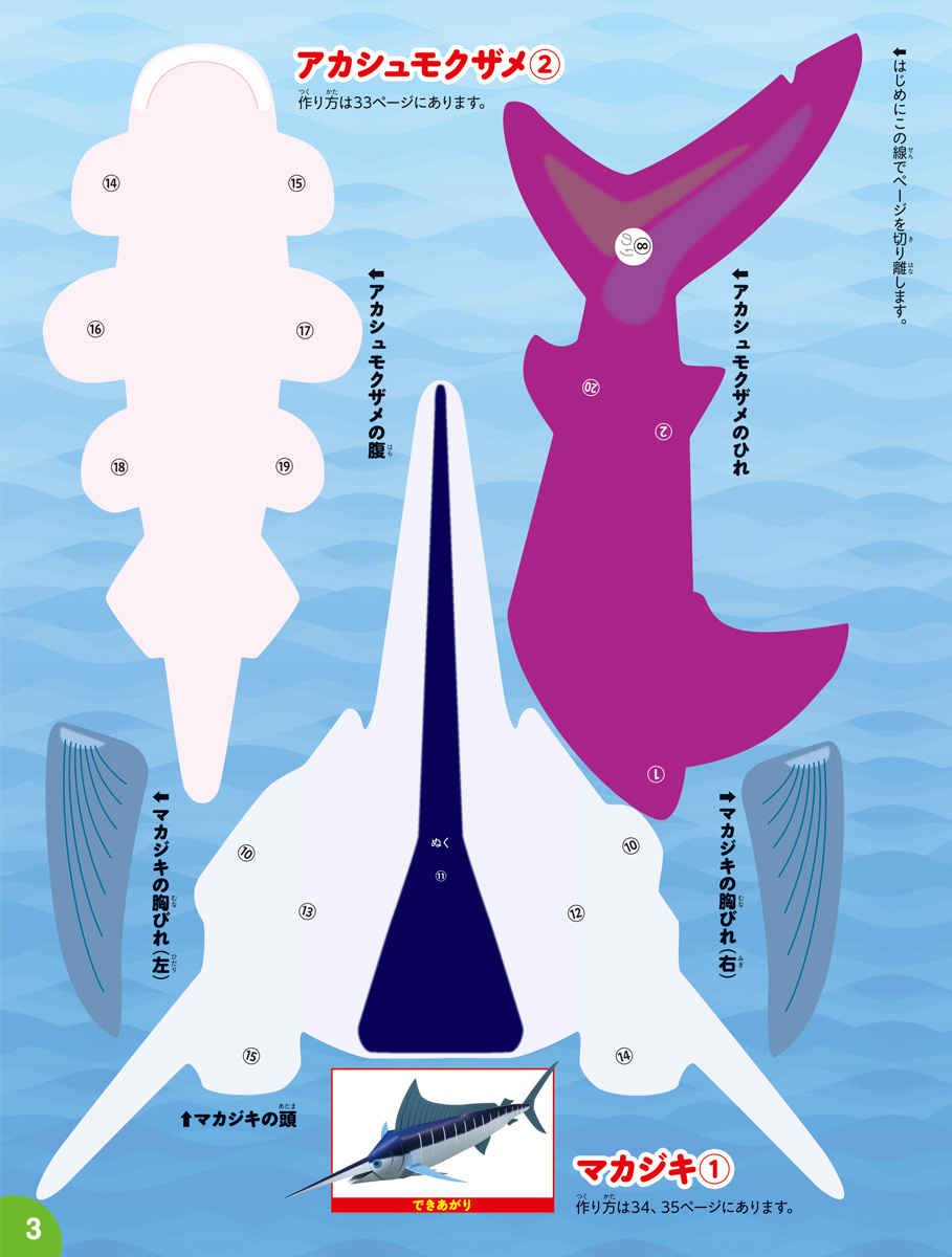 新りったいさかな館 小学館の図鑑neoのクラフトぶっく 神谷 正徳 本 通販 Amazon